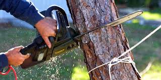 Best Soil Testing and Treatment  in Chadwicks, NY