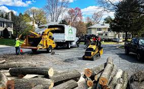 Best Lawn Disease Treatment  in Chadwicks, NY