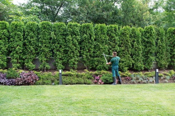 Best Lawn Pest Prevention  in Chadwicks, NY